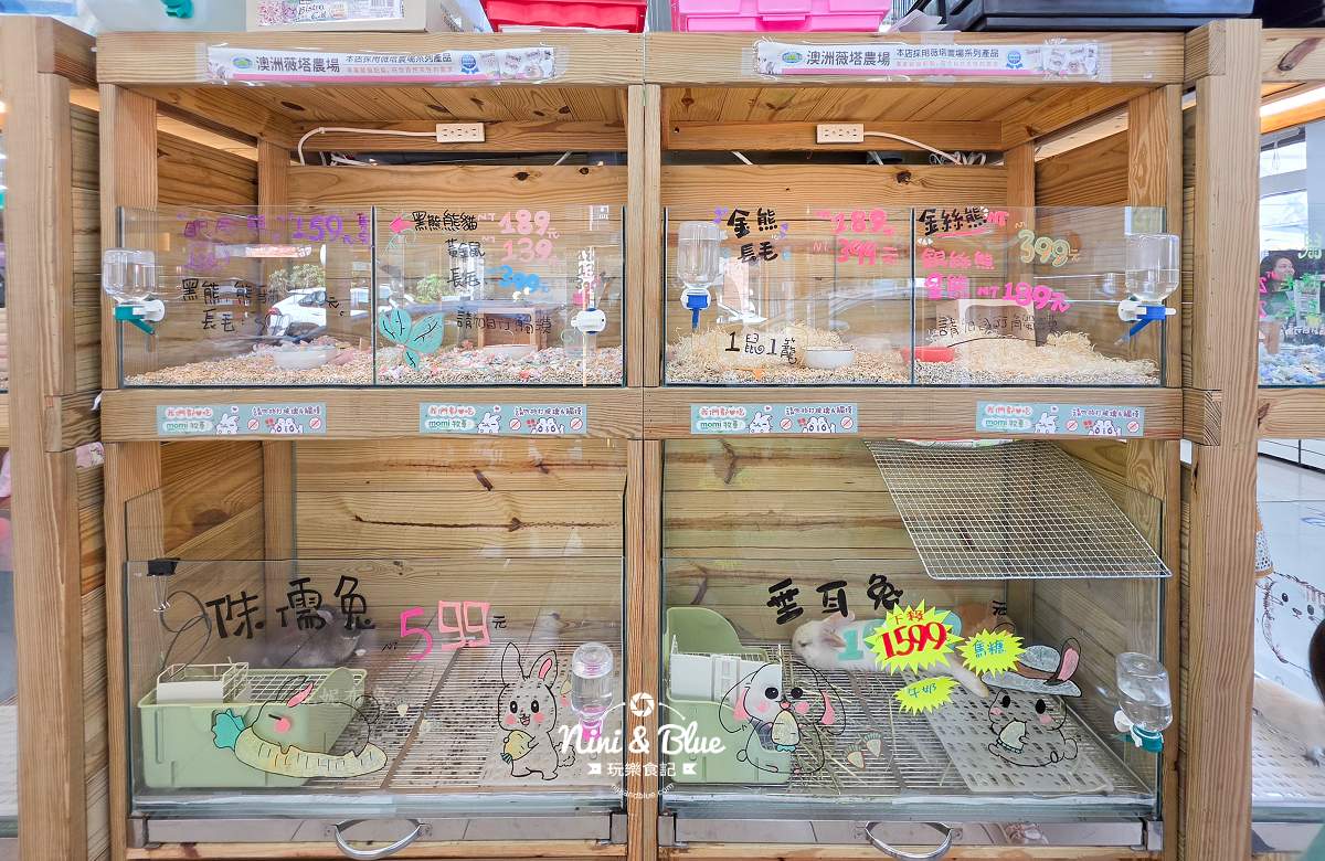 魚中魚金馬店親子景點 兔子