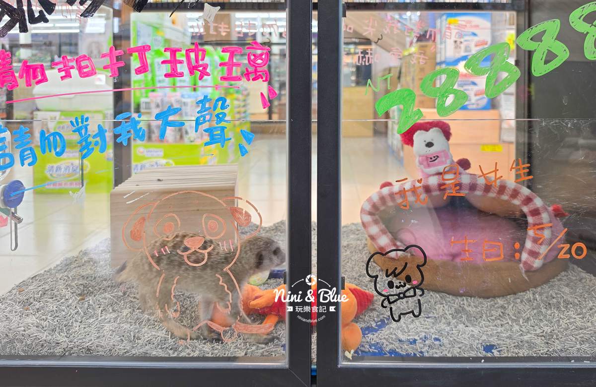 魚中魚金馬店親子景點 狐蒙
