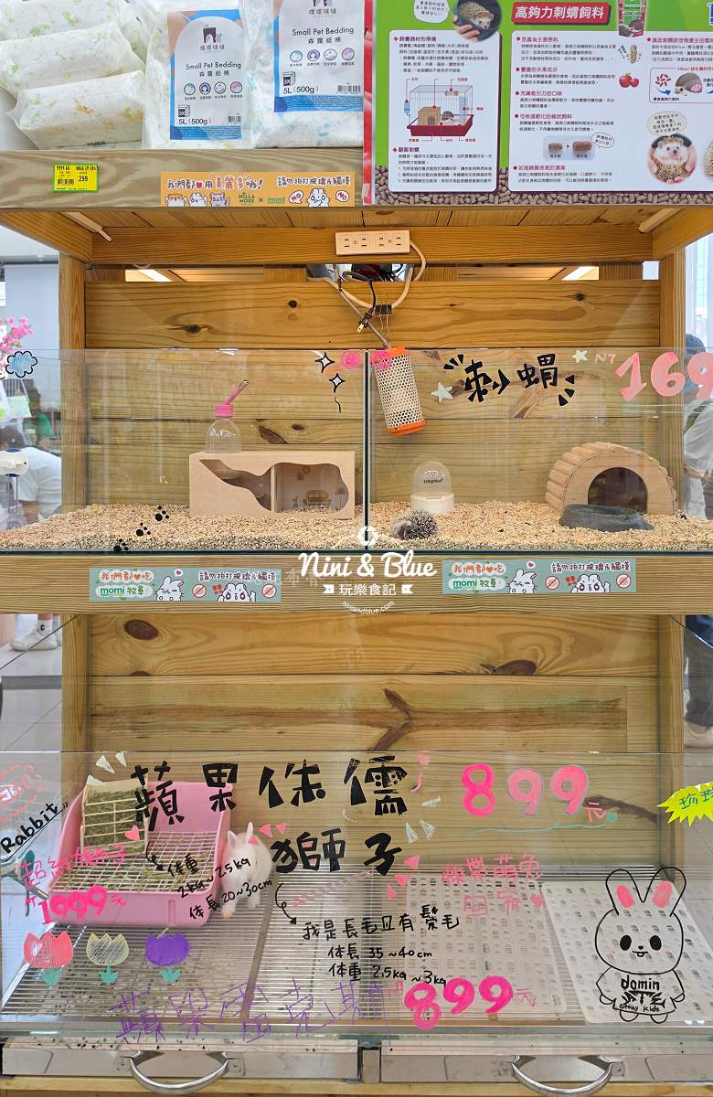 魚中魚金馬店親子景點 天竺鼠