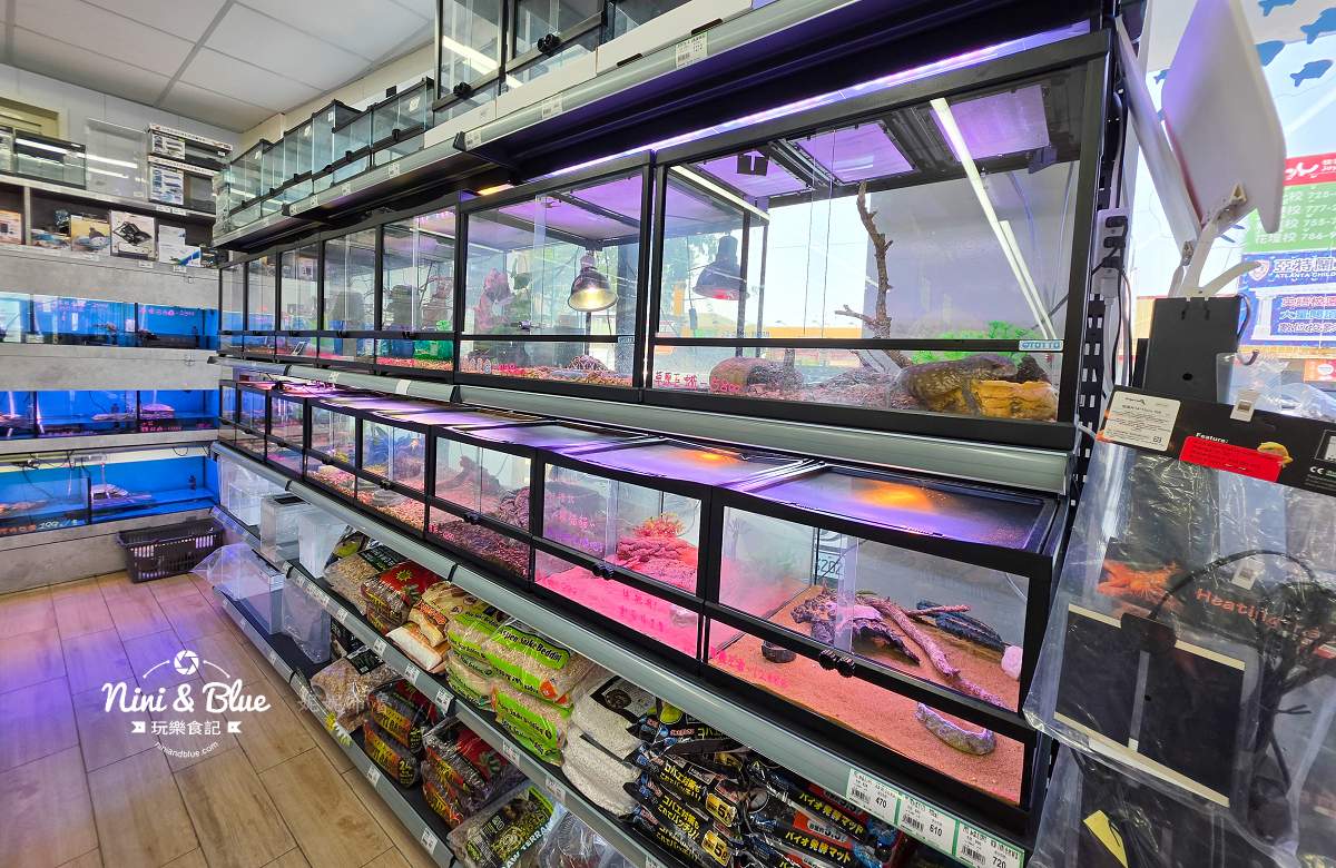魚中魚金馬店親子景點 爬蟲區