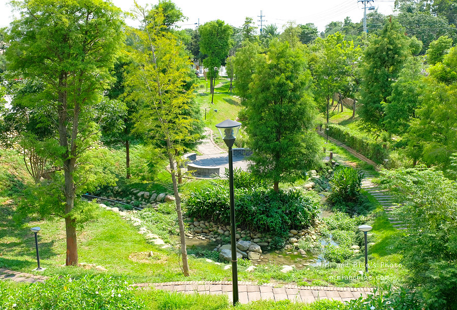 圳前仁愛公園.台中景點13