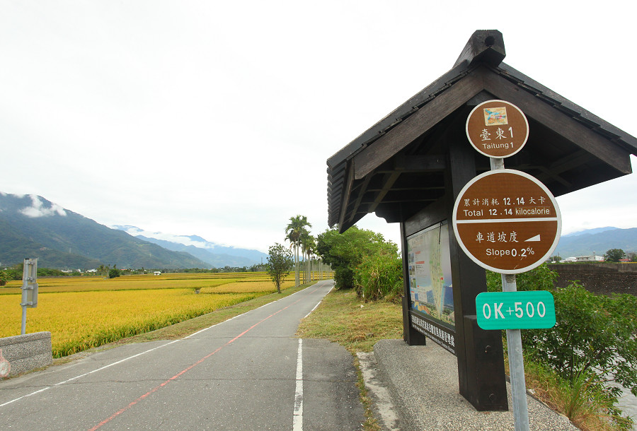 台東景點 關山自行車道11