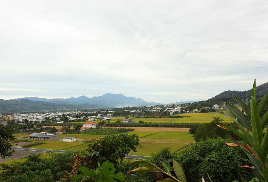 台東景點 關山自行車道07