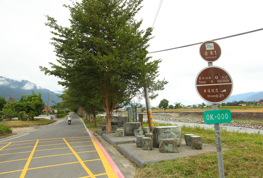 台東景點 關山自行車道06