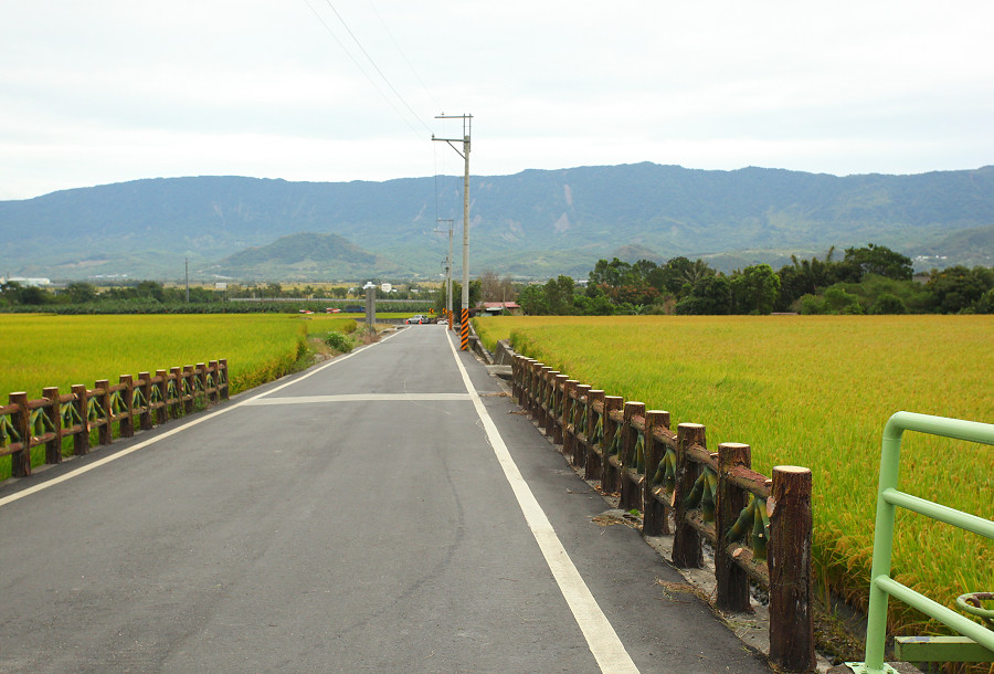 台東景點 關山自行車道03