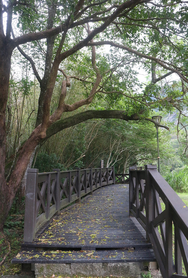台東景點 羅山自行車道14