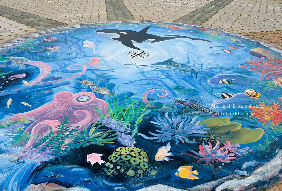 頂魚寮公園.梧棲景點07