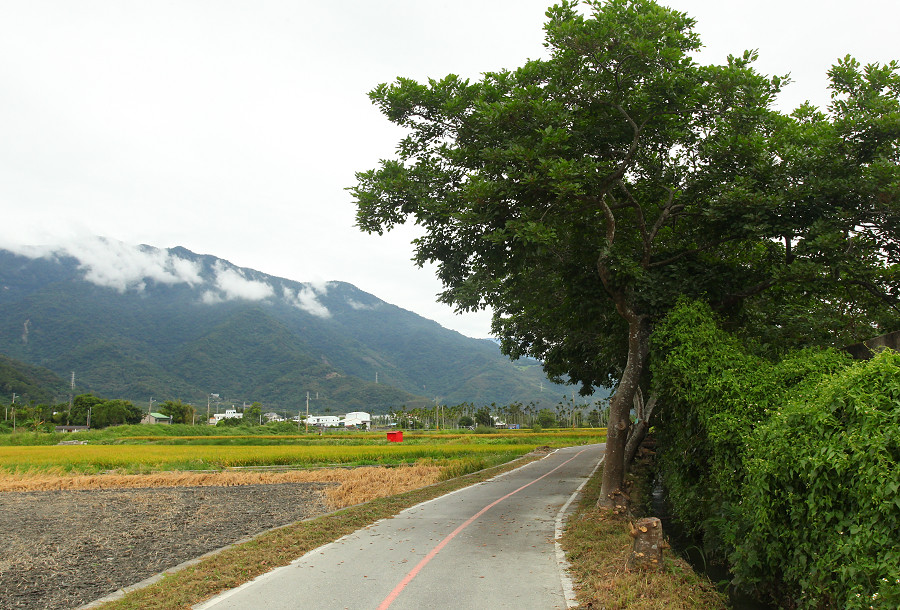 台東景點 關山自行車道14