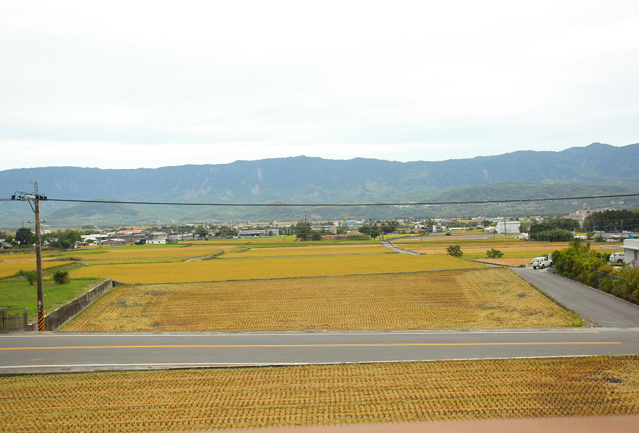 台東景點 關山自行車道05