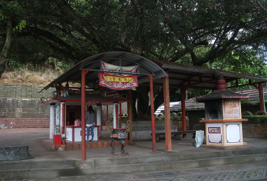 台東景點 羅山自行車道19