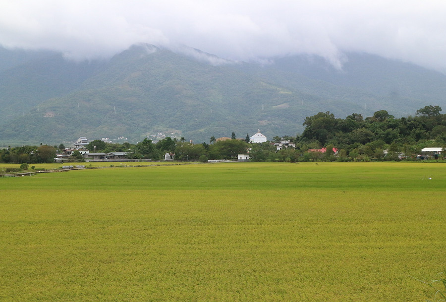 台東景點 羅山自行車道03