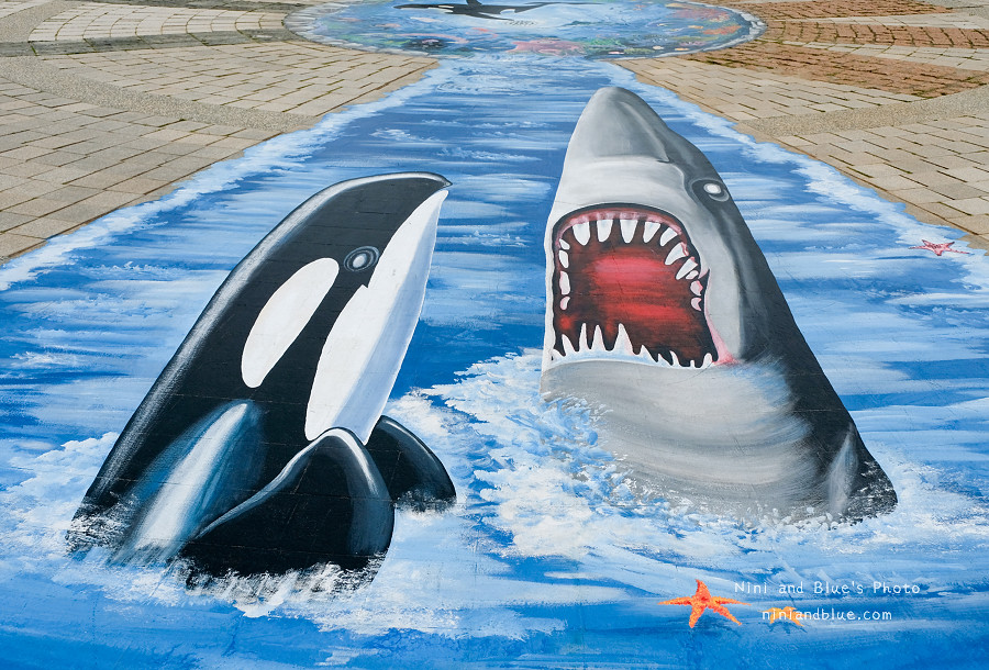 頂魚寮公園.梧棲景點06