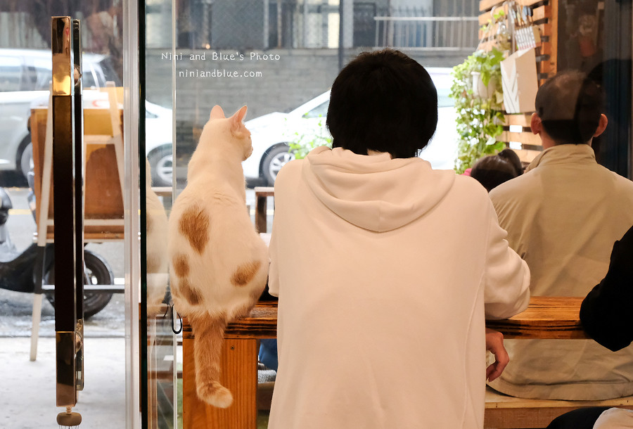 草屯咖啡草莓甜點 甜客思13