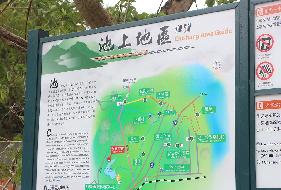 台東池上還鄉自行車道19