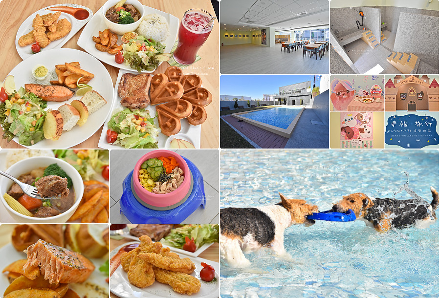 台中寵物餐廳le chien樂享森活01
