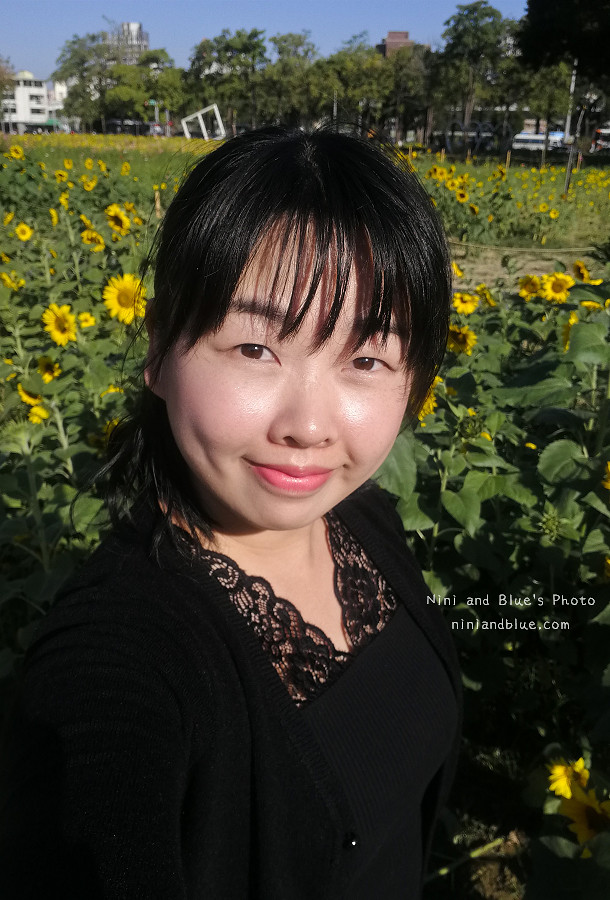 台中向日葵花海國資圖14