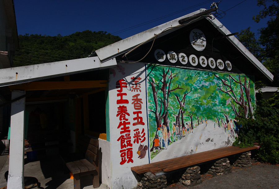 台東景點鹿野武陵綠色隧道B14