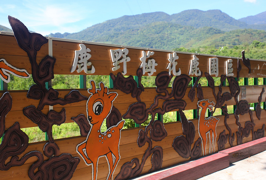 台東景點鹿野武陵綠色隧道B12