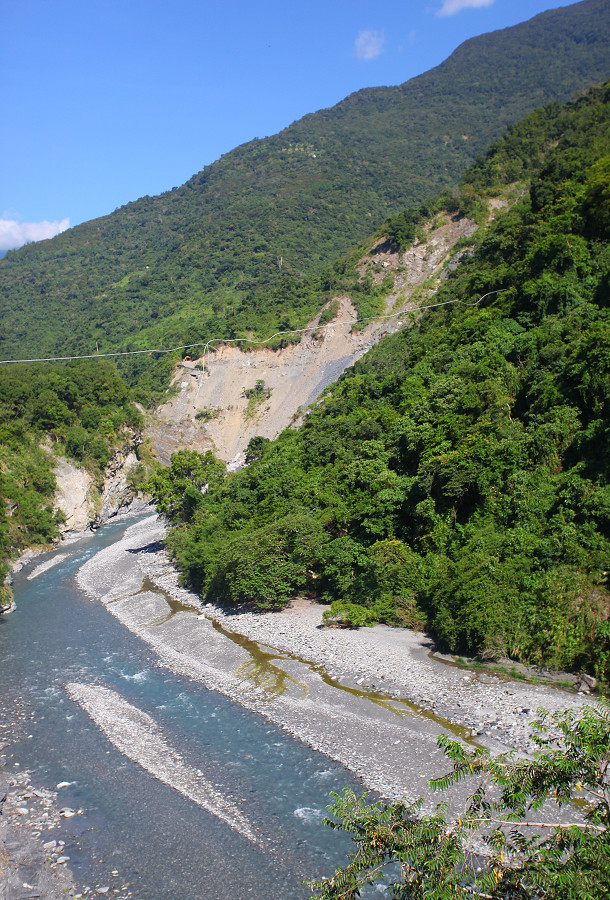 台東景點鹿野武陵綠色隧道B10
