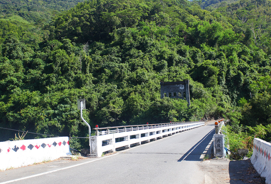 台東景點鹿野武陵綠色隧道B09