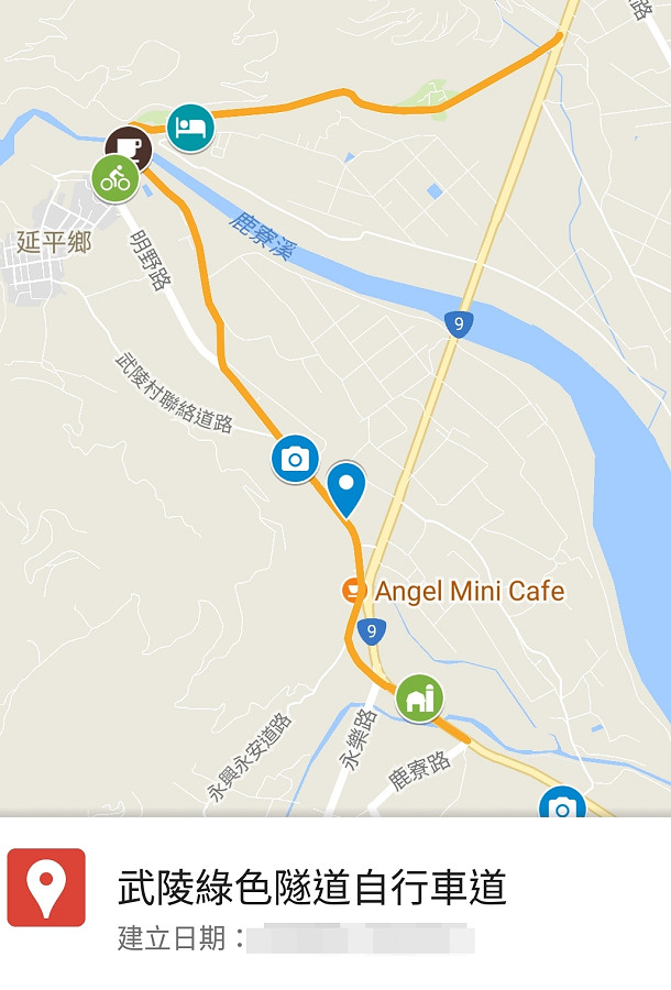 台東景點鹿野武陵綠色隧道B07