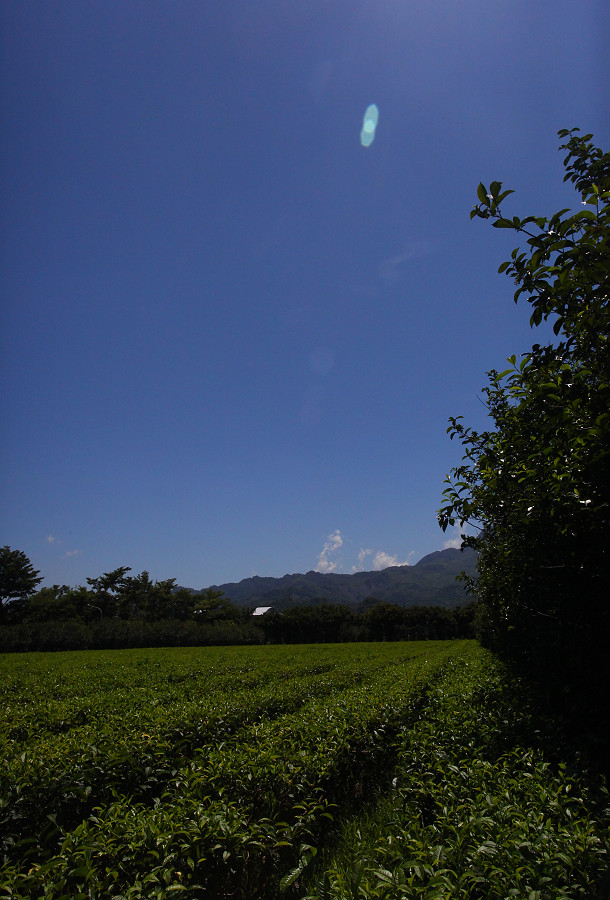 台東景點龍田自行車道A04