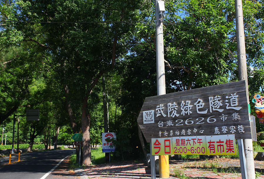 台東景點鹿野武陵綠色隧道A07