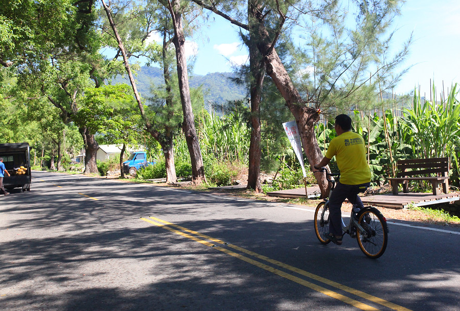 台東景點鹿野武陵綠色隧道A11
