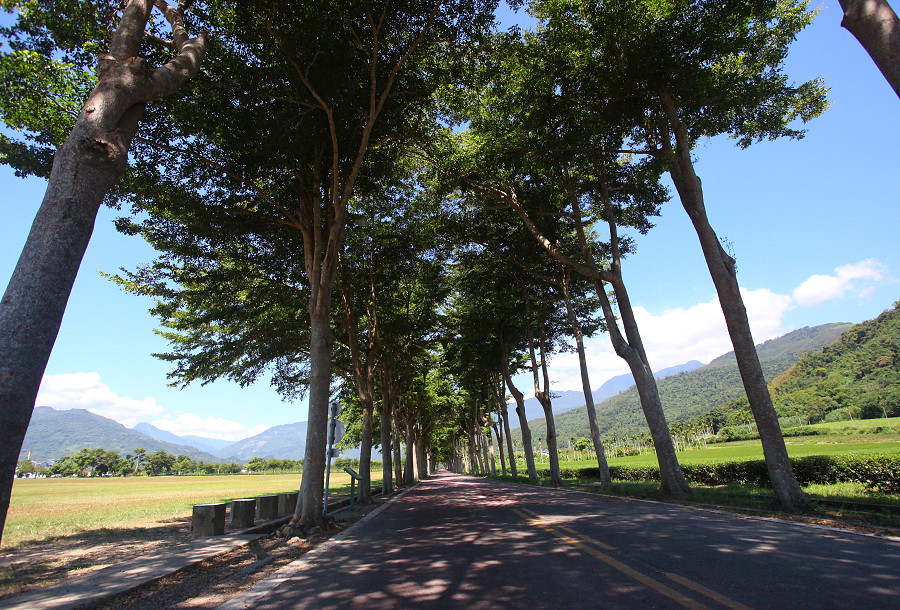 台東景點龍田自行車道A02