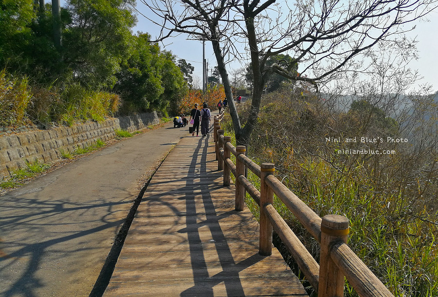 台中竹坑南寮登山步道18