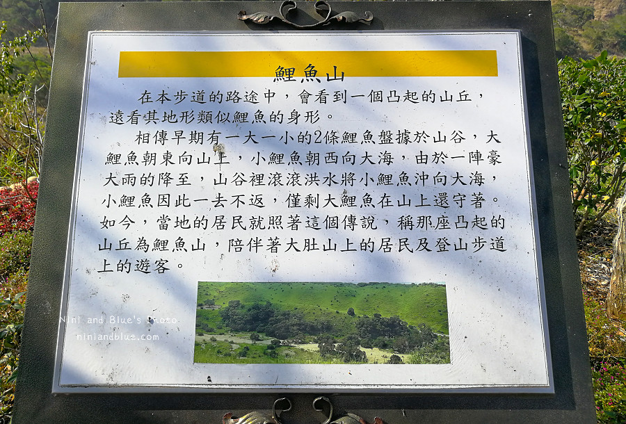 台中竹坑南寮登山步道13
