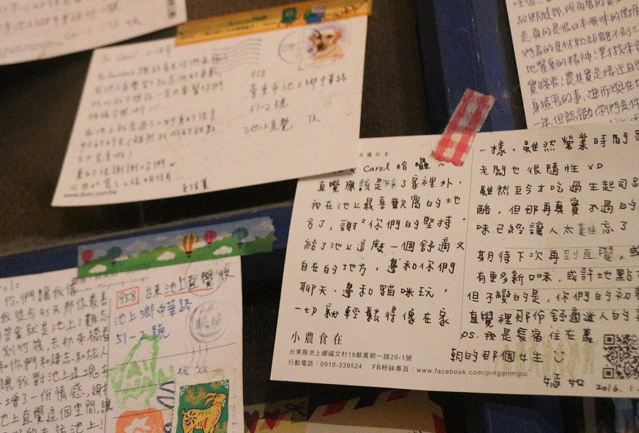 台東池上直覺咖啡04
