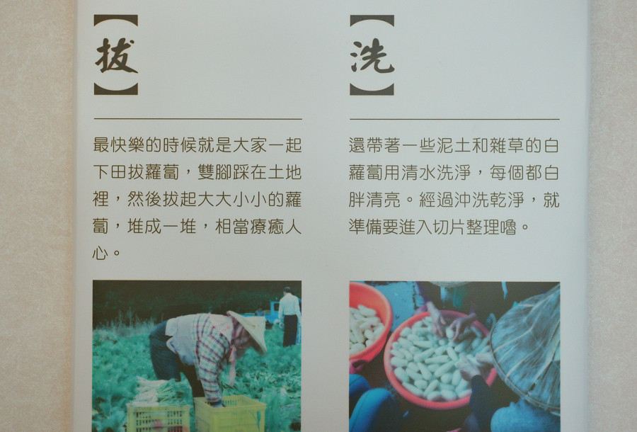 台東關山蘿蔔銀行06