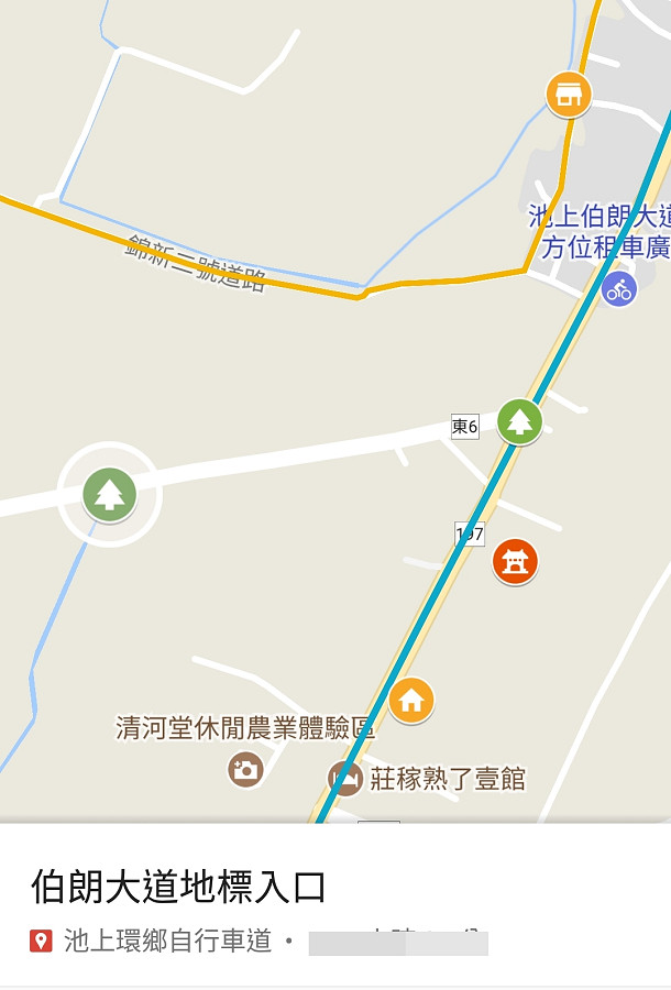 台東池上還鄉自行車道09