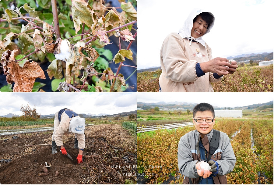 福島住宿.若草物語農泊33