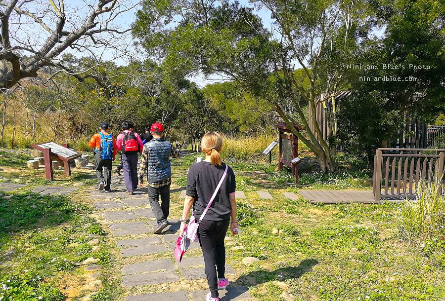 台中竹坑南寮登山步道25