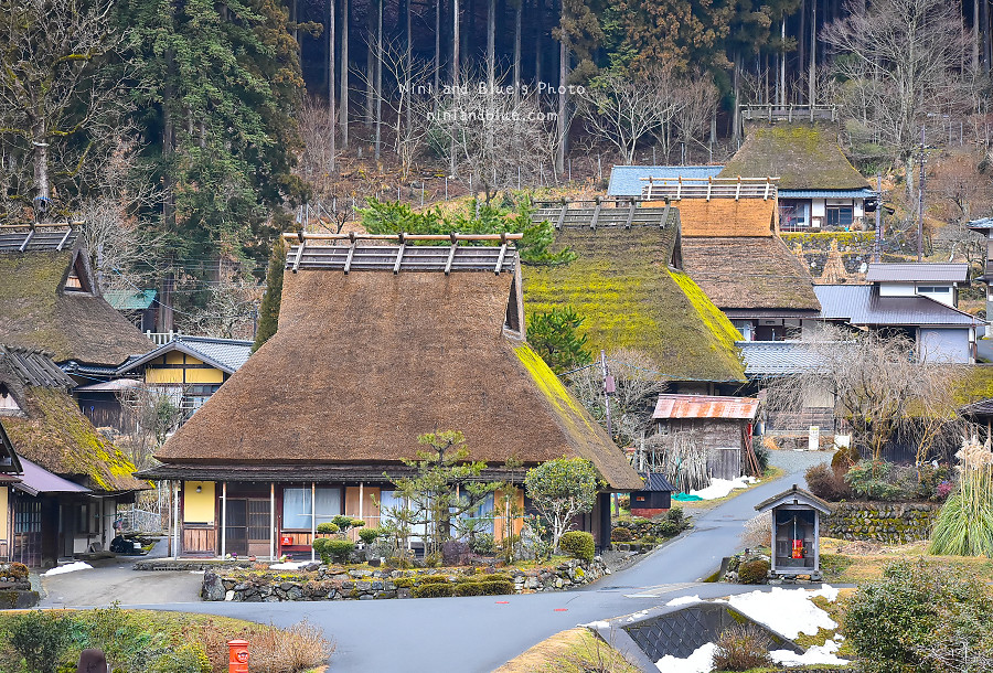 日本京都 美山 茅草屋 交通 巴士09