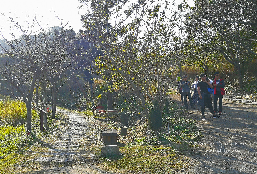 台中竹坑南寮登山步道10