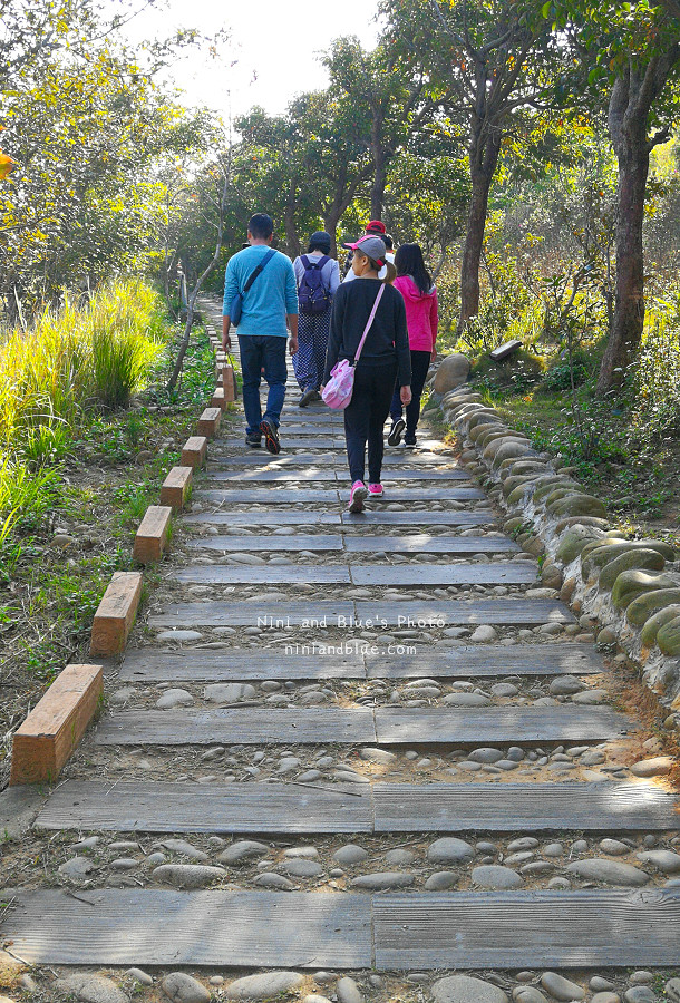 台中竹坑南寮登山步道09