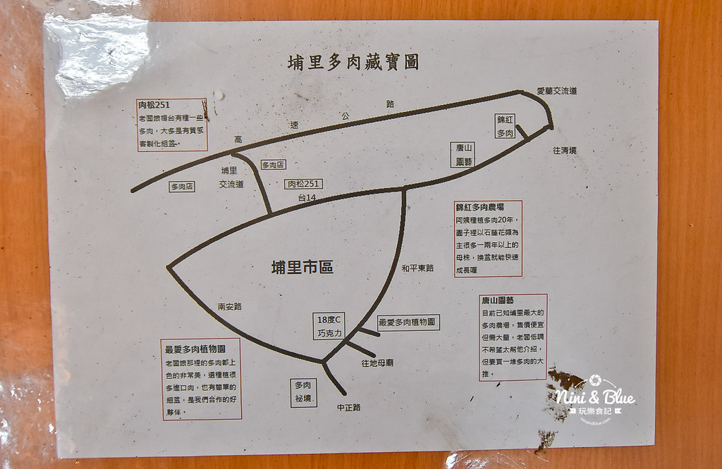 多肉秘境.埔里景點19