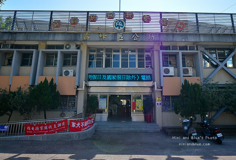 霧峰區公所.3D地景彩繪08