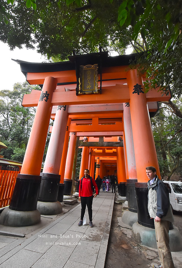 京都景點推薦 伏見稻荷神社 鳥居 怎麼去11