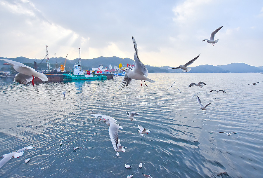 日本 鳴門漩渦 渦潮 淡路島 景點07