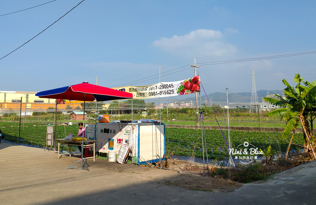 小農夫草莓園09