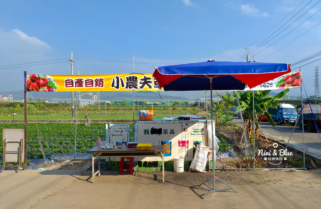 小農夫草莓園05