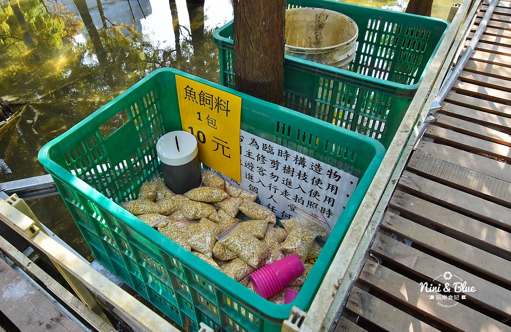 中科落羽松.台中落羽松秘境06 中科落羽松.台中落羽松秘境06