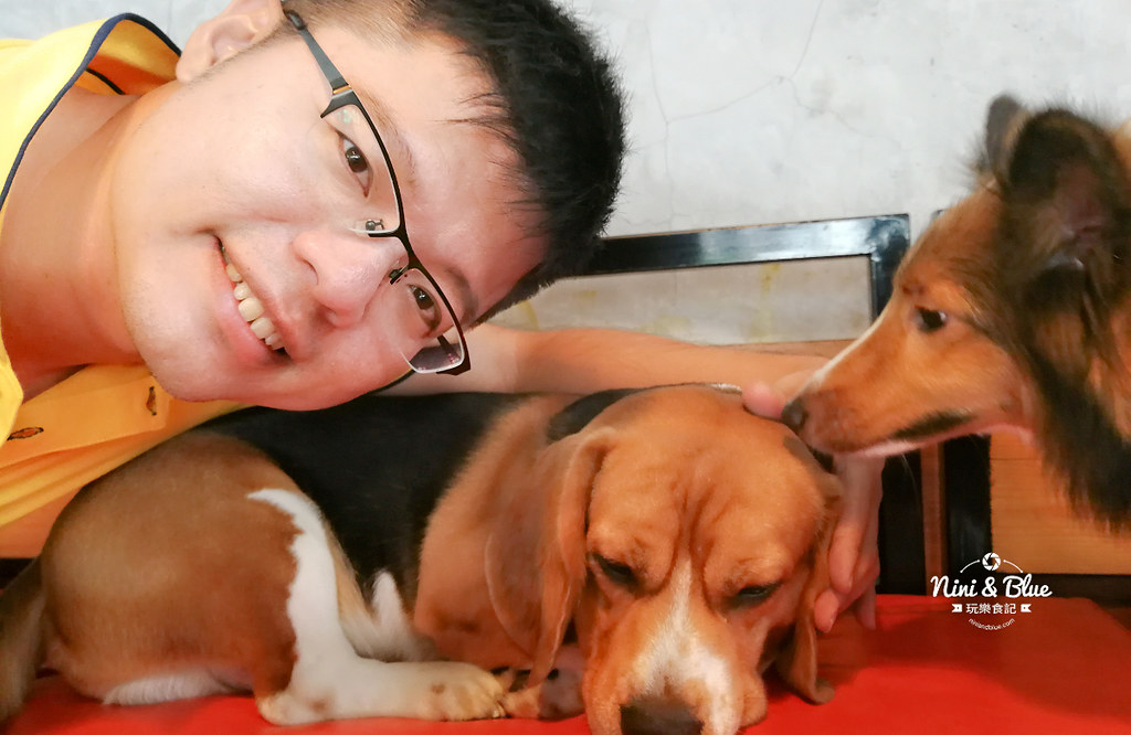 HoPs Dog Cafe泰國曼谷狗狗餐廳bkk 27