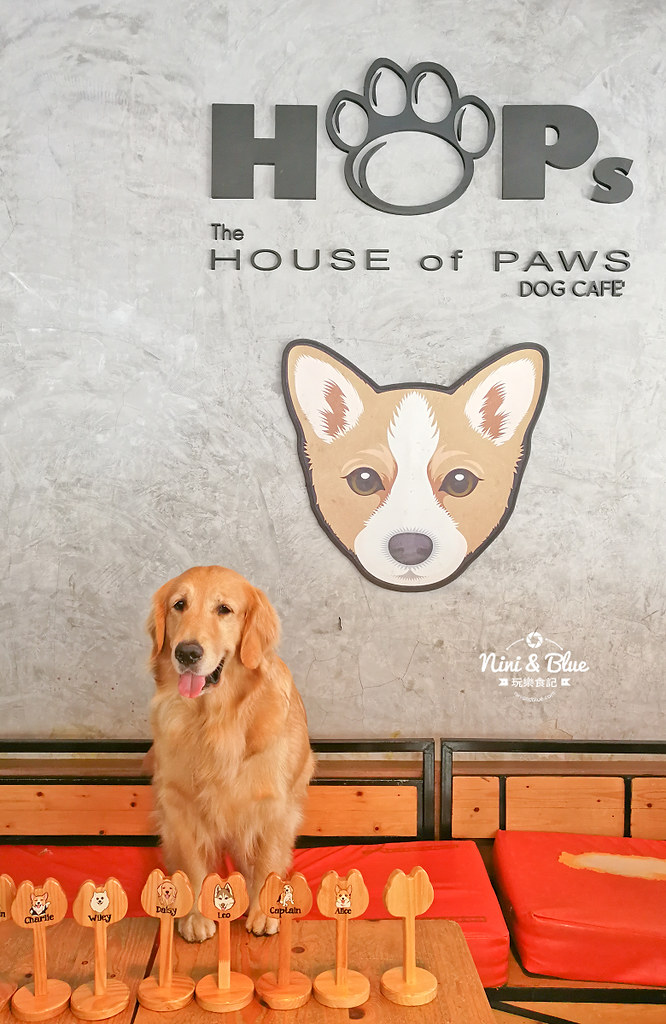 HoPs Dog Cafe泰國曼谷狗狗餐廳bkk 26