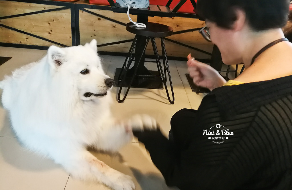 HoPs Dog Cafe泰國曼谷狗狗餐廳bkk 16