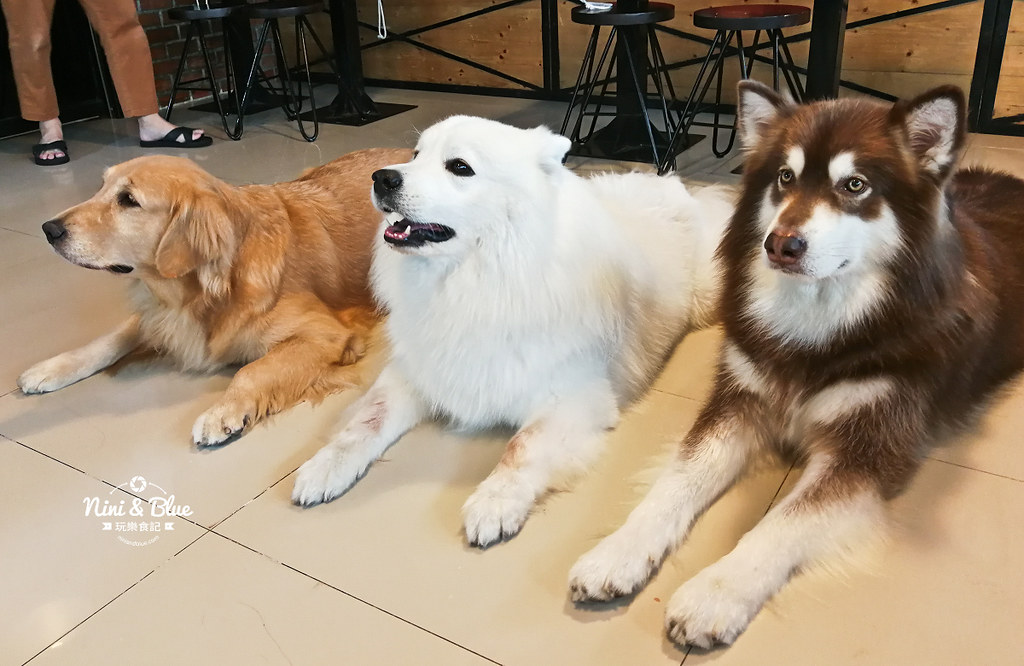 HoPs Dog Cafe泰國曼谷狗狗餐廳bkk 20